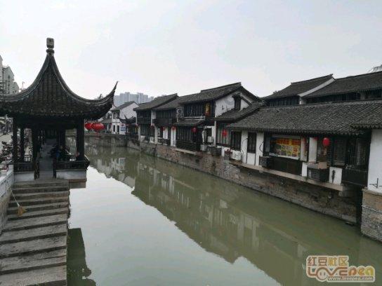 这谁顶得住?40岁王鸥,性感霸气女人味十足!